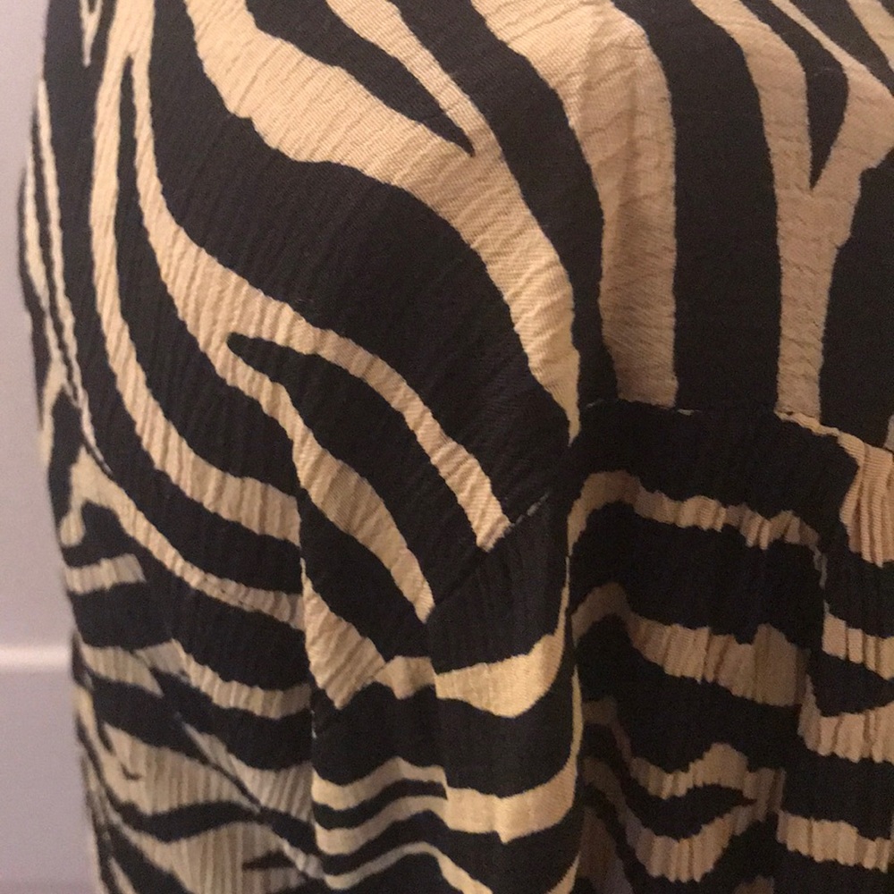 Faithfull Rafa Zebra Dress - Picture 7 of 10